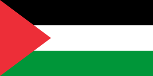 Flag of Palestine.svg.png